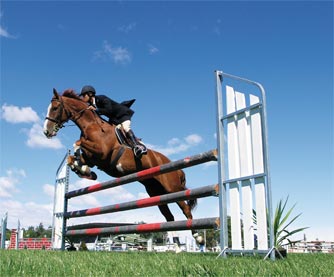 Comment adapté l'alimentation de son cheval pour les concours