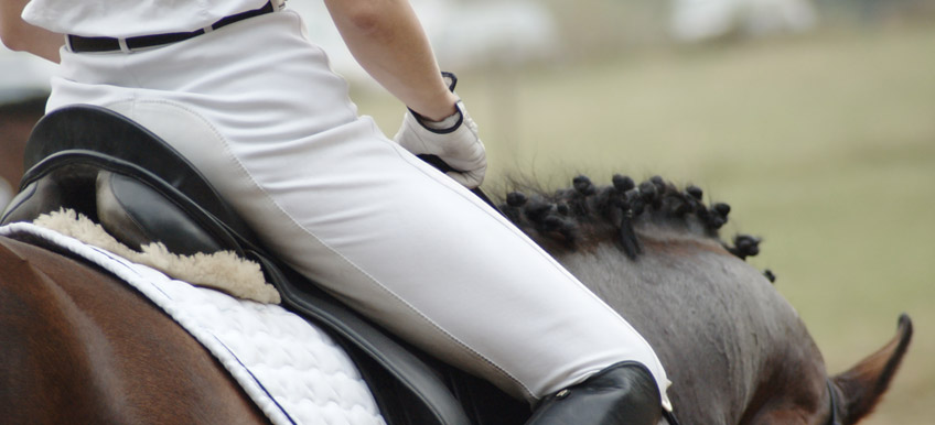 Quand et comment nourrir son cheval avant l’effort ? Partie 2   