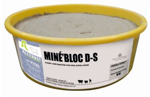 Minebloc DS