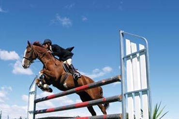 Weekend en concours : j’opte pour une alimentation adaptée pour mon cheval !