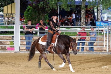 Quels sont les équipements à prévoir pour un cheval de reining 