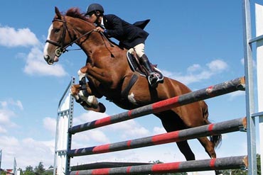 Comment peindre les barres d’obstacles en bois ?