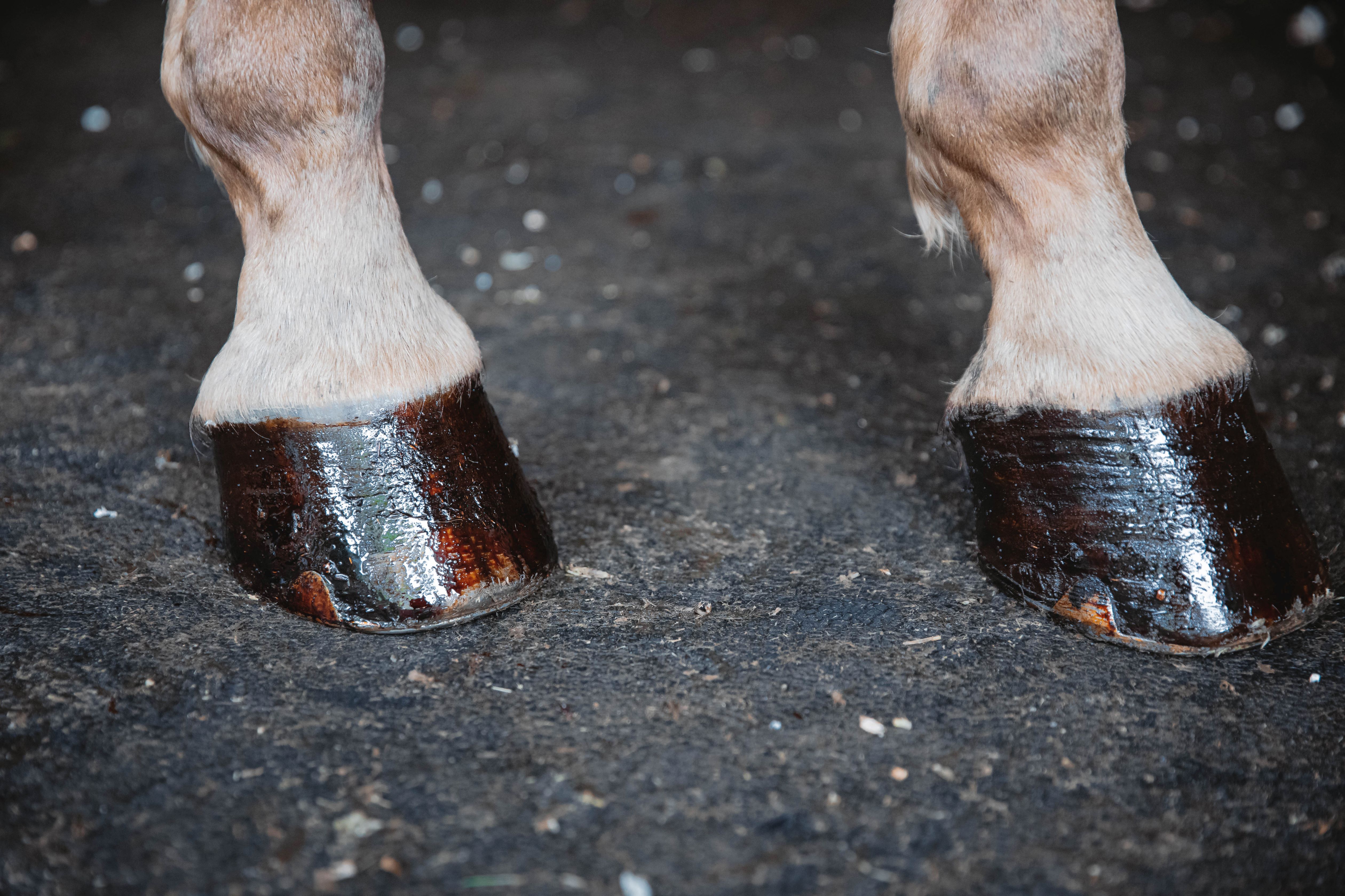 Pieds d’argile