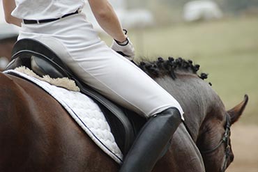 Quand et comment nourrir son cheval avant l’effort ? Partie 2